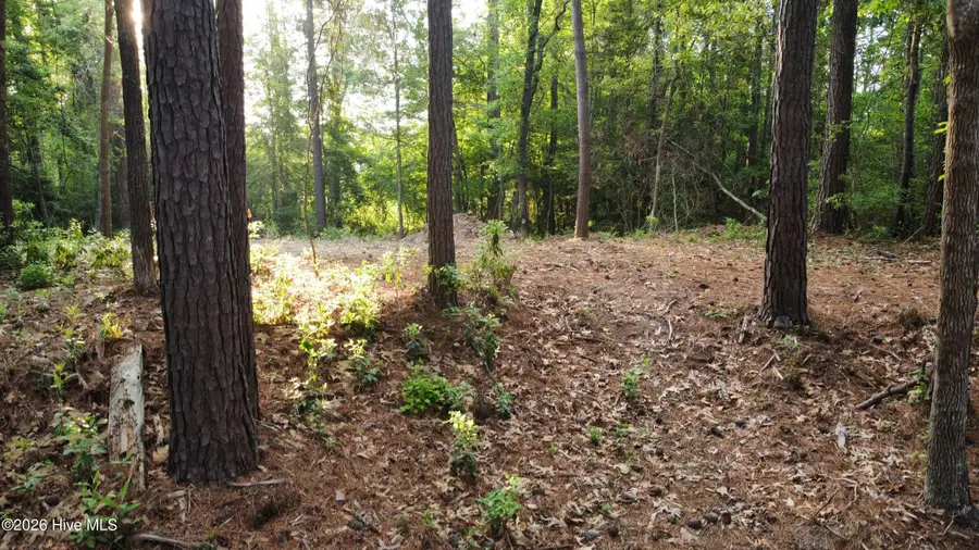 110 Rustic Court, Hampstead, NC 28443 - #3