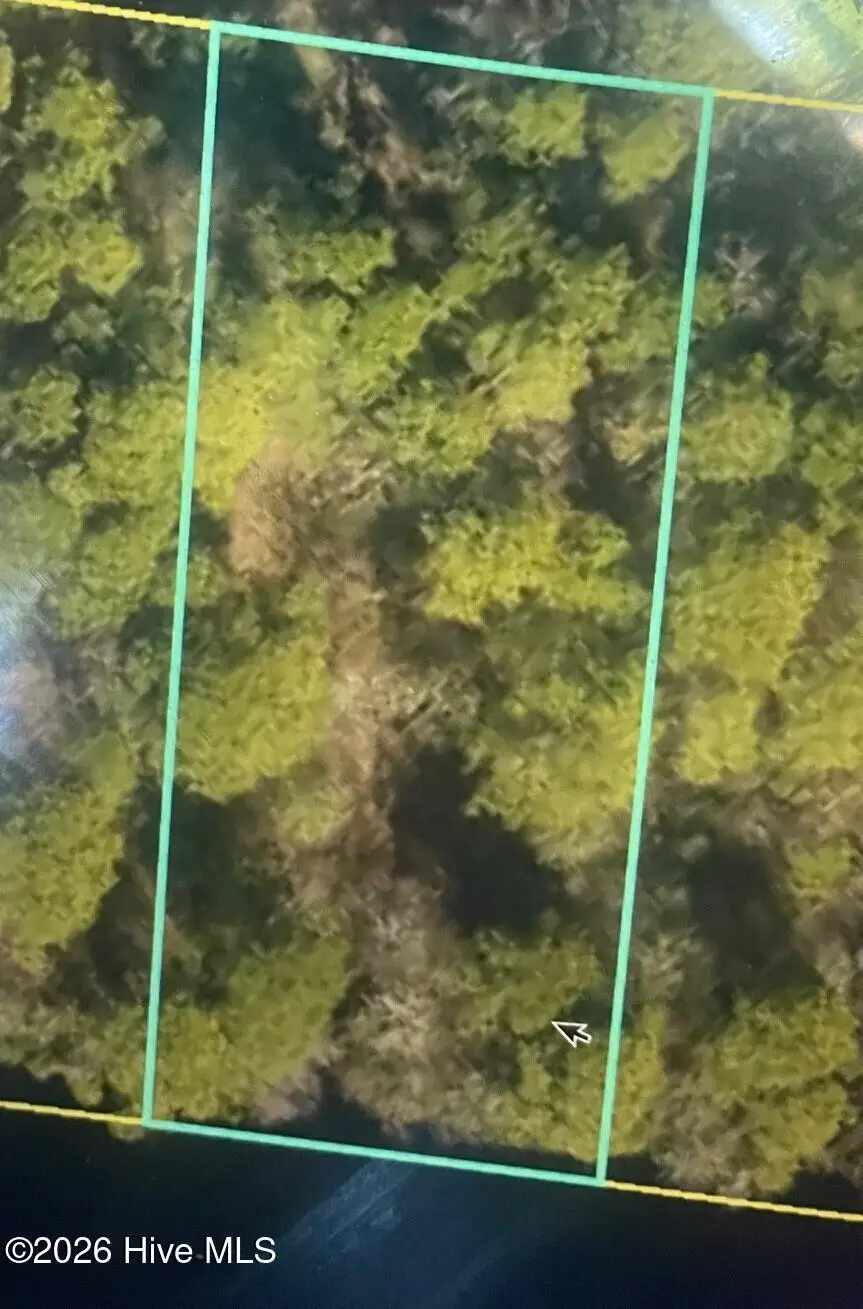 250 S Horsepen Drive, Harrells, NC 28444 - #1