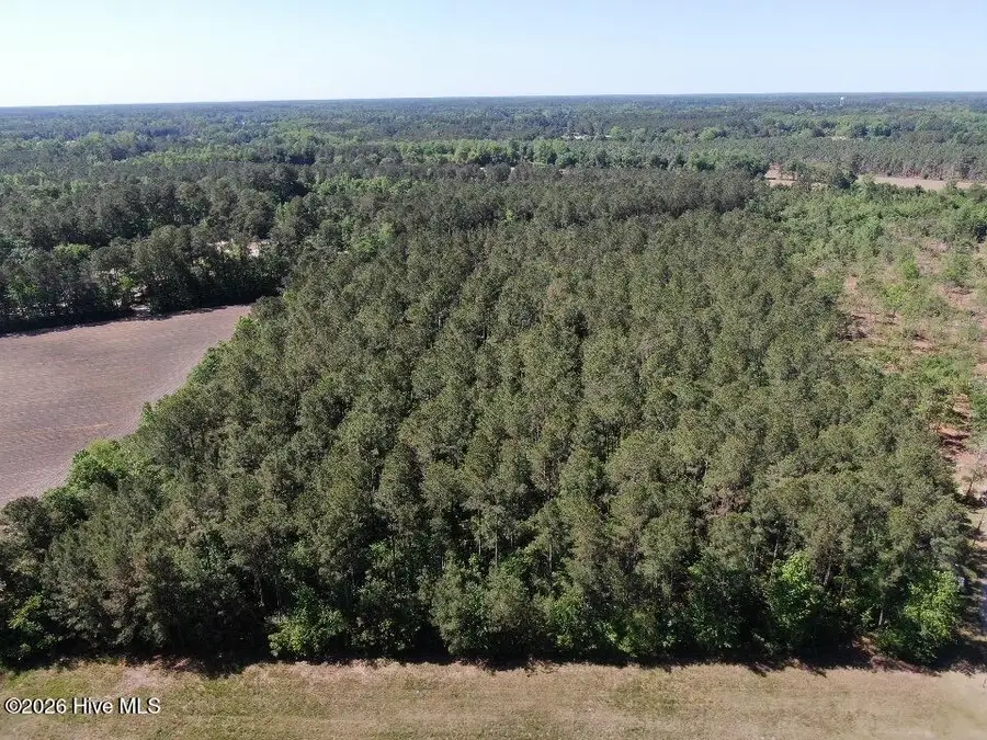 20.51 Acre Sweat Drive, Bladenboro, NC 28320 - #2