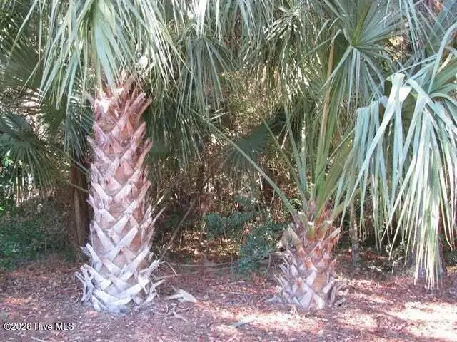 222 N Bald Head, Bald Head Island, NC 28461 - #3