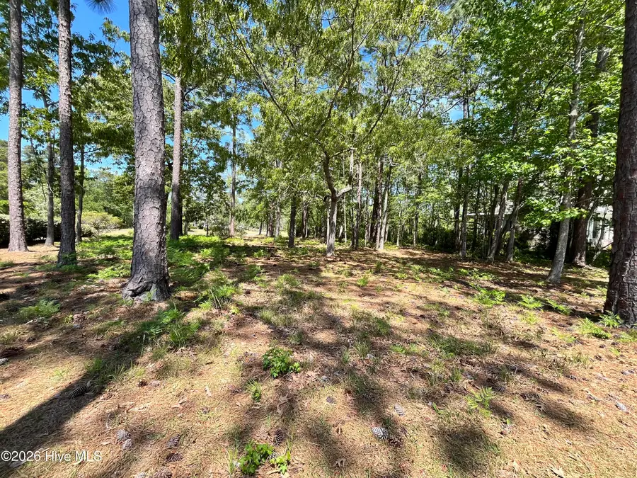 372 Laurel Valley Drive, Shallotte, NC 28470 - #2