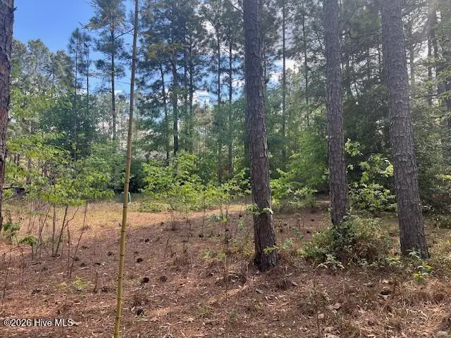 212 Skyline Manor Road, Southern Pines, NC 28387 - #2