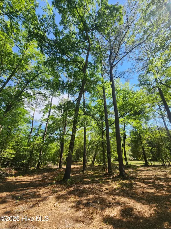 Lot 4 Shaw Highway, Rocky Point, NC 28457