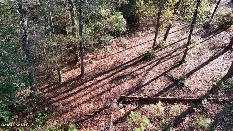 Lot 4 Shaw Highway, Rocky Point, NC 28457 - #3