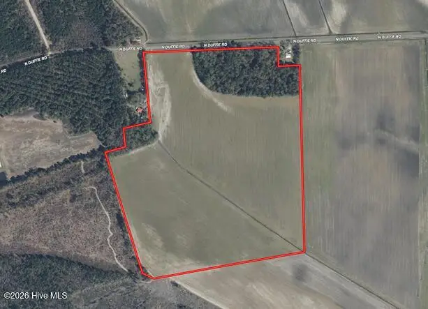 Tbd N Duffie North Road, Red Springs, NC 28377 - #2