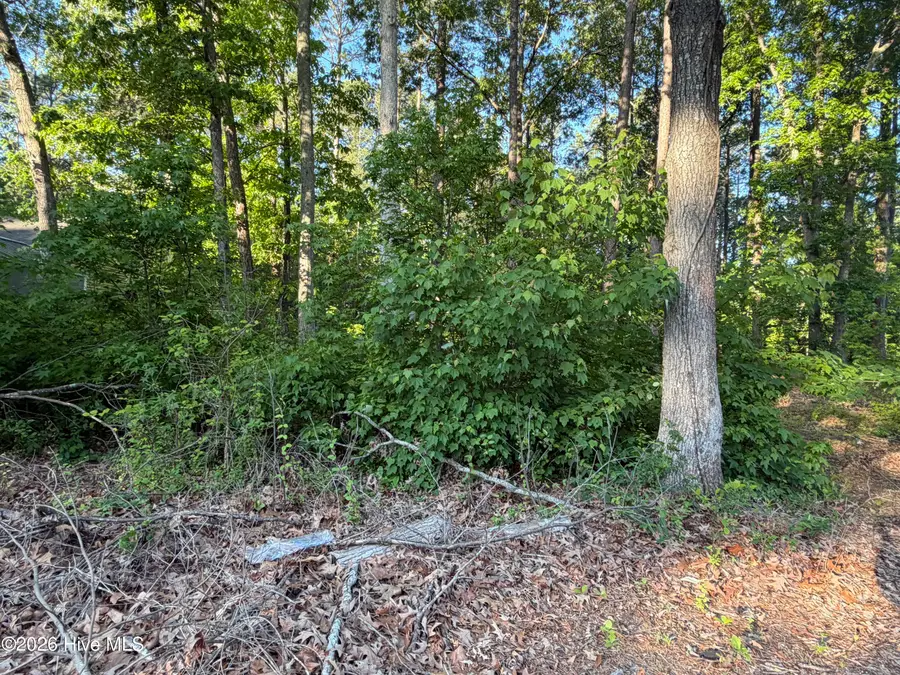 012-F Holiday Island, Hertford, NC 27944 - #2