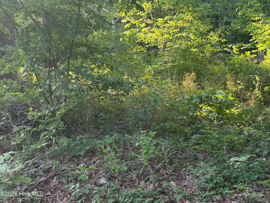 012-F Holiday Island, Hertford, NC 27944 - #3