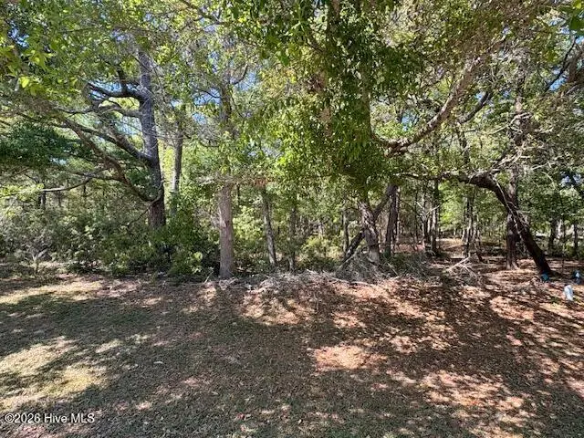 1994 Redfish Run Sw, Supply, NC 28462 - #1