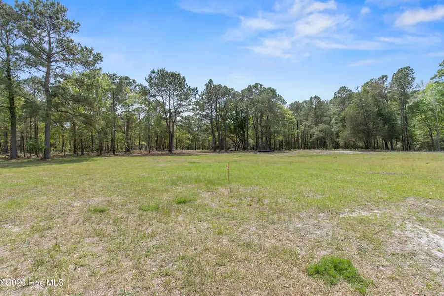 3+ Acres Old Ferry Connection, Supply, NC 28462 - #3