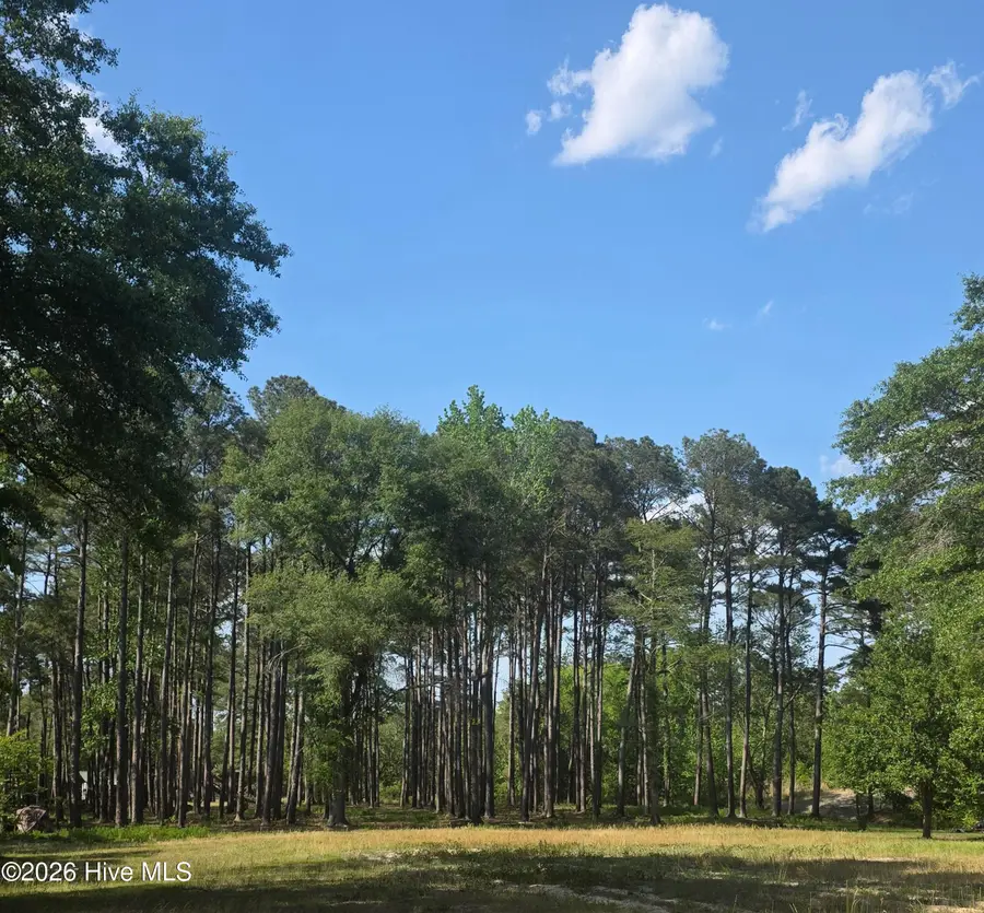 Lot #47 Juniper Lane, Currie, NC 28435 - #2