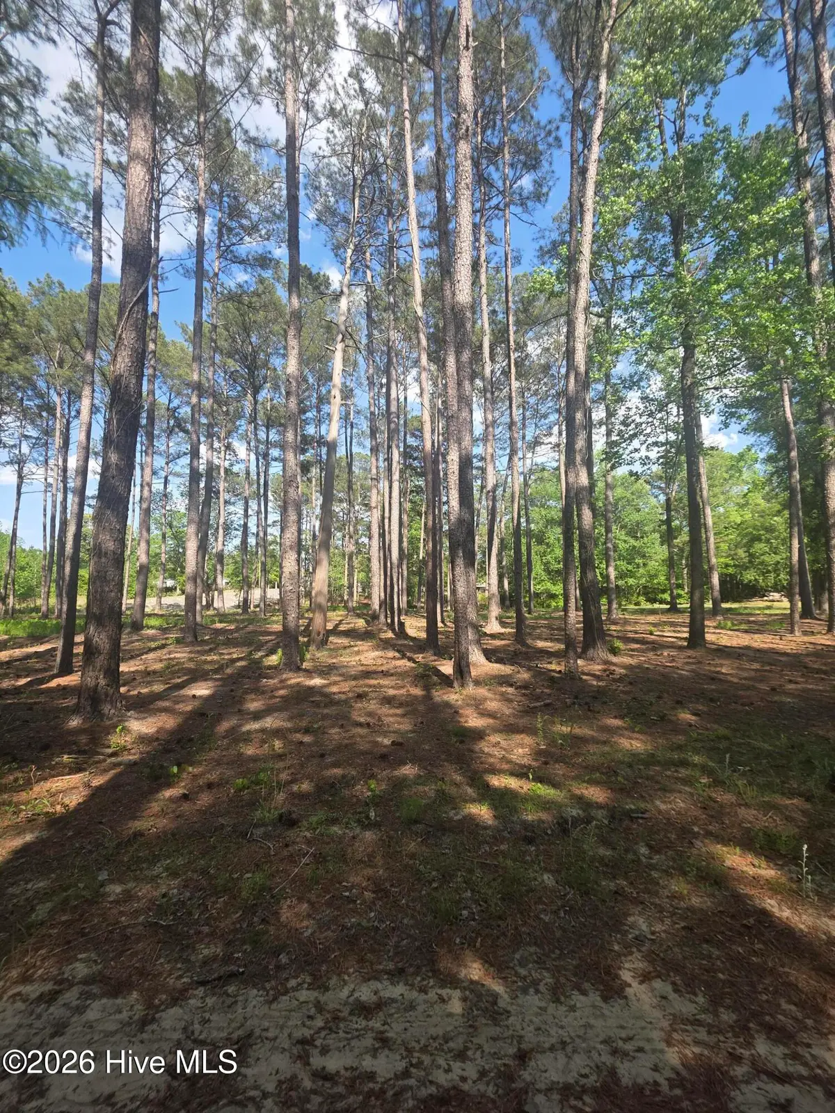 Lot #46 Juniper Lane, Currie, NC 28435 - #1