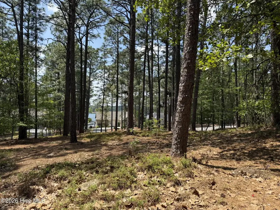 107 Otter Drive, West End, NC 27376 - #2