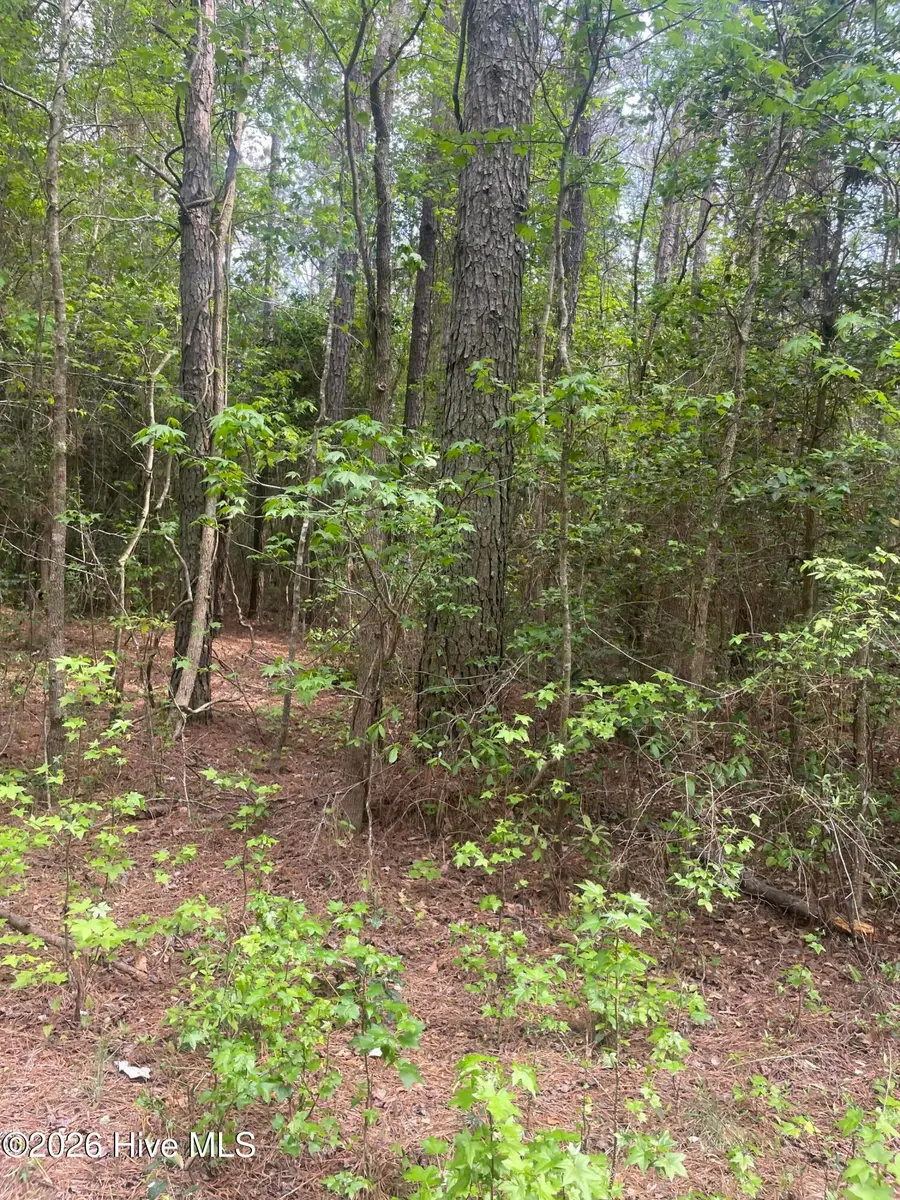 010 Bobby Hope Road, Delway, NC 27458 - #3