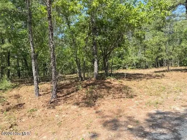 1028 Sorrell Drive, Vass, NC 28394