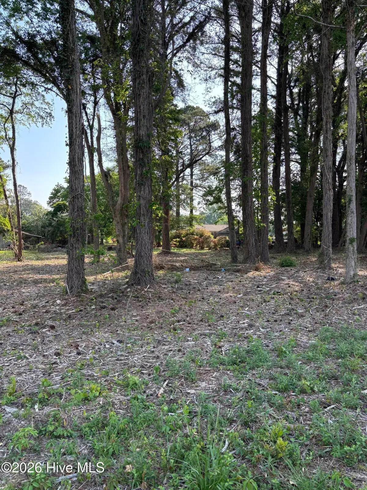 Lot #1 Us 264, #1 W E Midyette, S/d, Washington, NC 27889 - #1