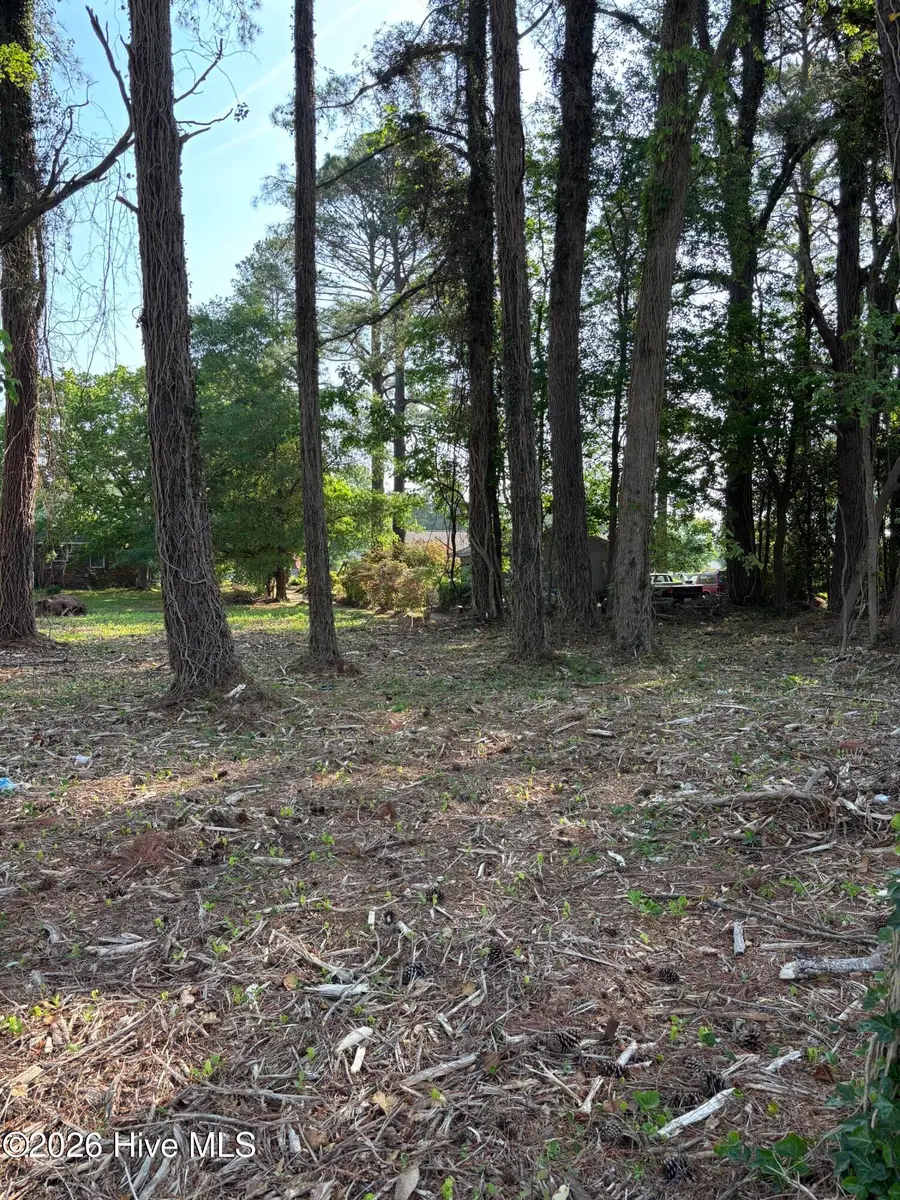 Lot #1 Us 264, #1 W E Midyette, S/d, Washington, NC 27889 - #2