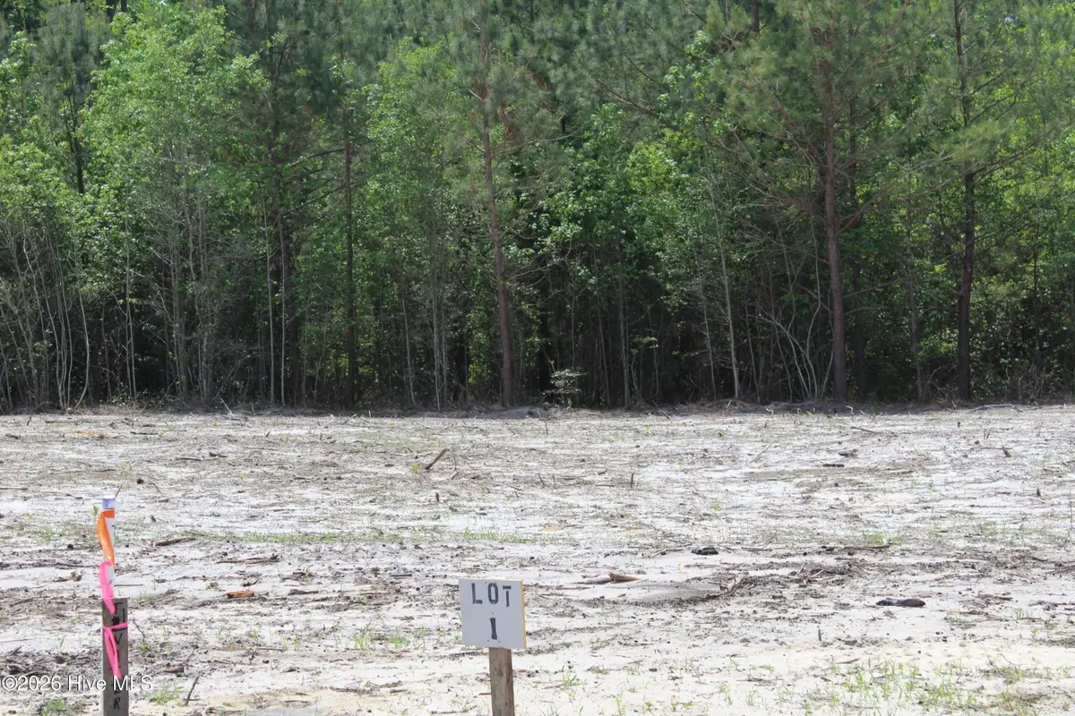 125 H.t.brown Lane, Magnolia, NC 28453 - #1