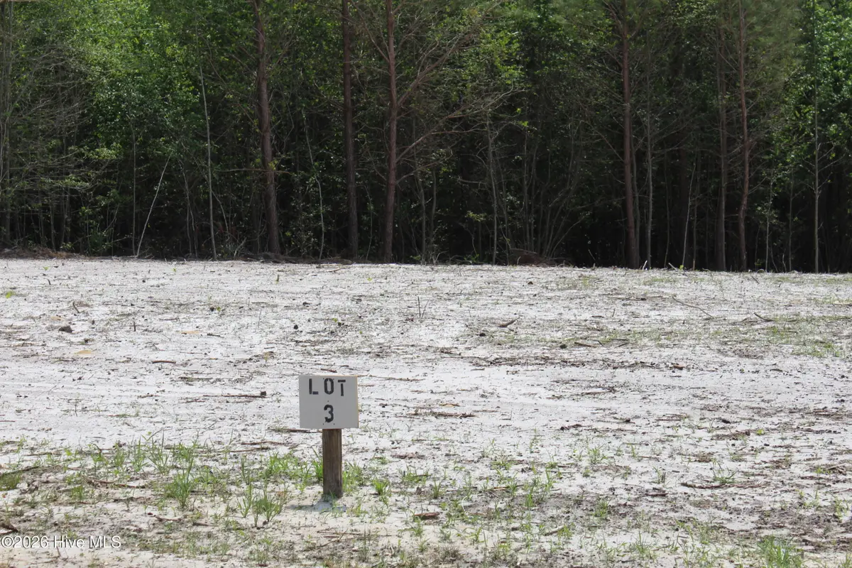 119 H.t. Brown Lane, Magnolia, NC 28453 - #1