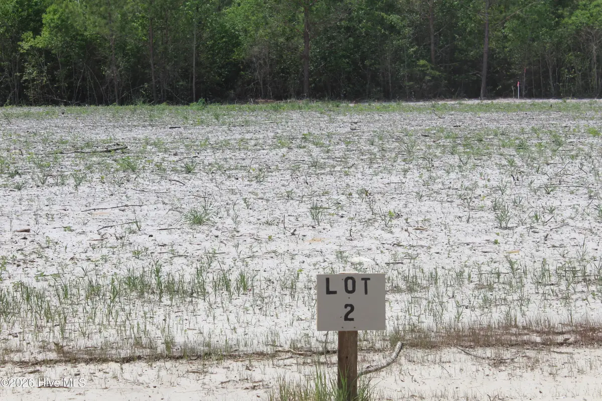 105 Southerland Road, Magnolia, NC 28453 - #1