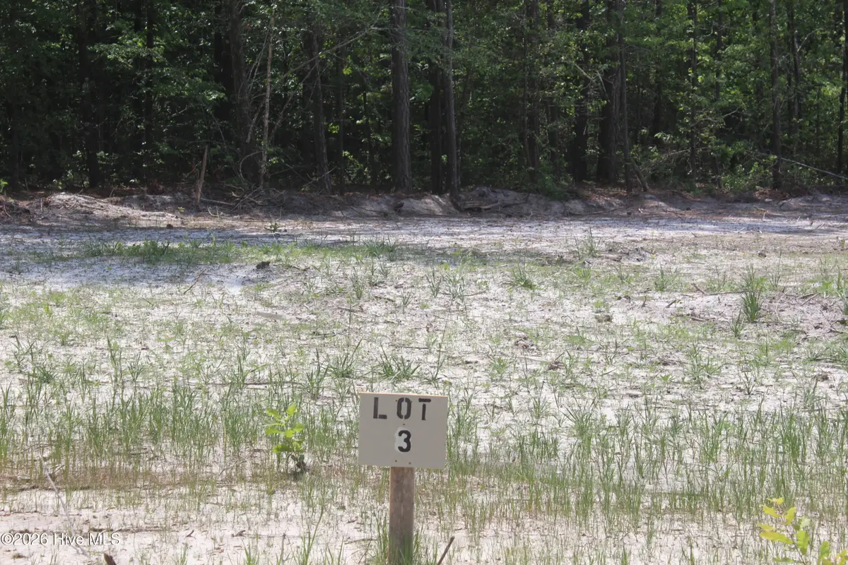 128 Southerland Road, Magnolia, NC 28453 - #1