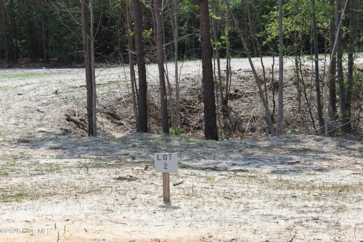 934 Blind Bridge Road, Magnolia, NC 28453 - #1