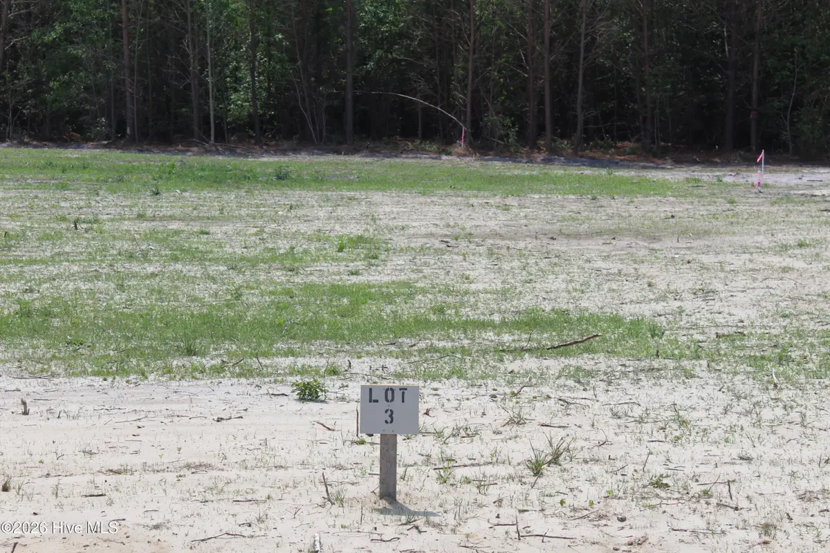 940 Blind Bridge Road, Magnolia, NC 28453 - #1