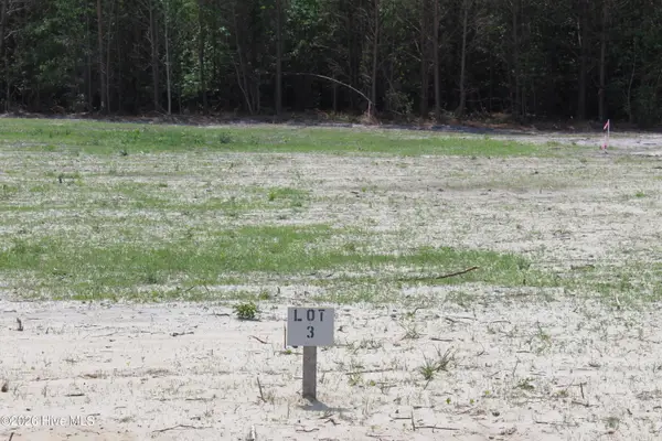 940 Blind Bridge Road, Magnolia, NC 28453