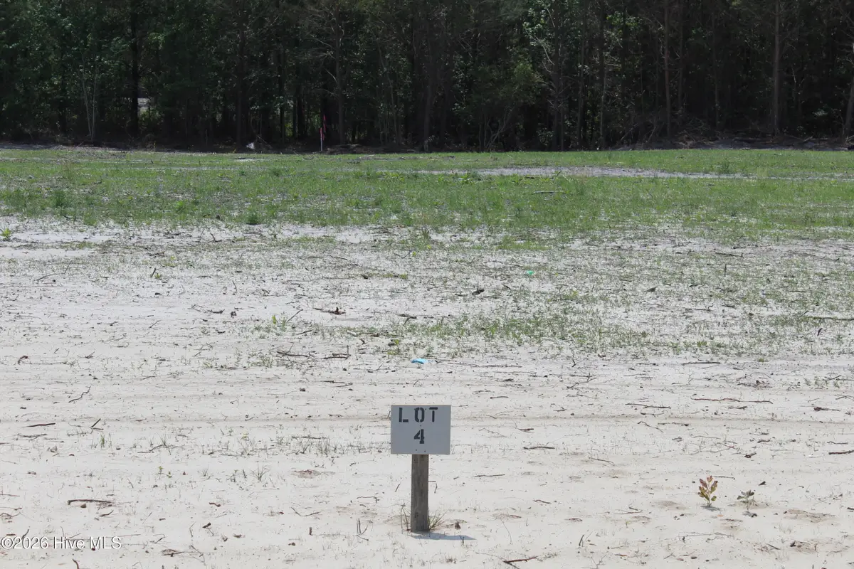 944 Blind Bridge Road, Magnolia, NC 28453 - #1