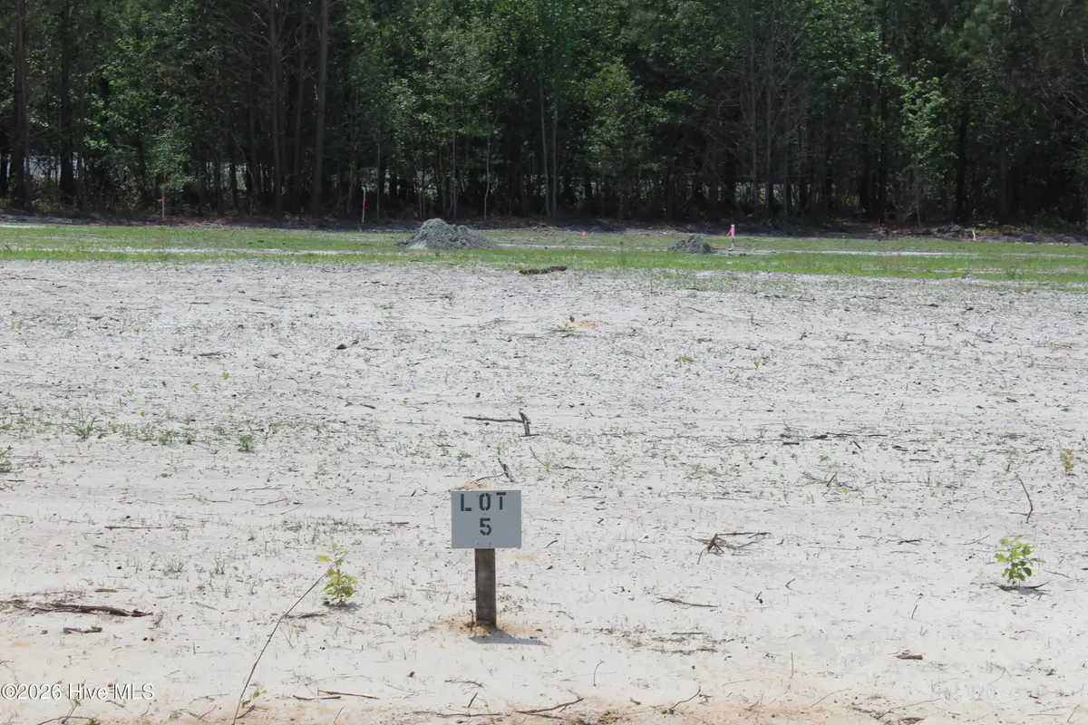 950 Blind Bridge Road, Magnolia, NC 28453 - #1