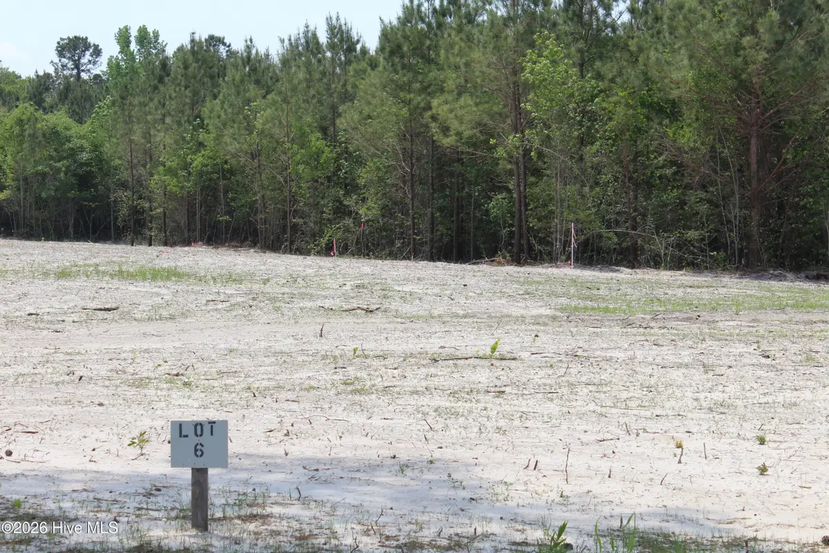 958 Blind Bridge Road, Magnolia, NC 28453 - #1