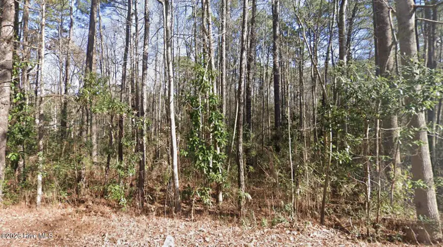 1669 Rainey Drive, Spring Lake, NC 28390 - #3