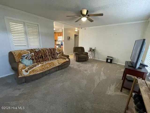 130 Patrick Drive, Hertford, NC 27944 - #3