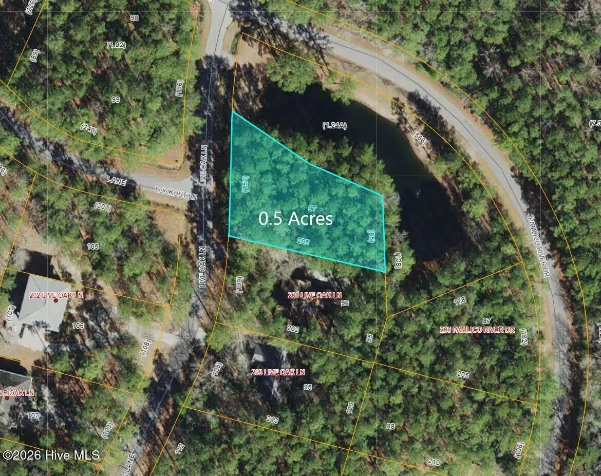 111 Live Oak Lane, Washington, NC 27889 - #1