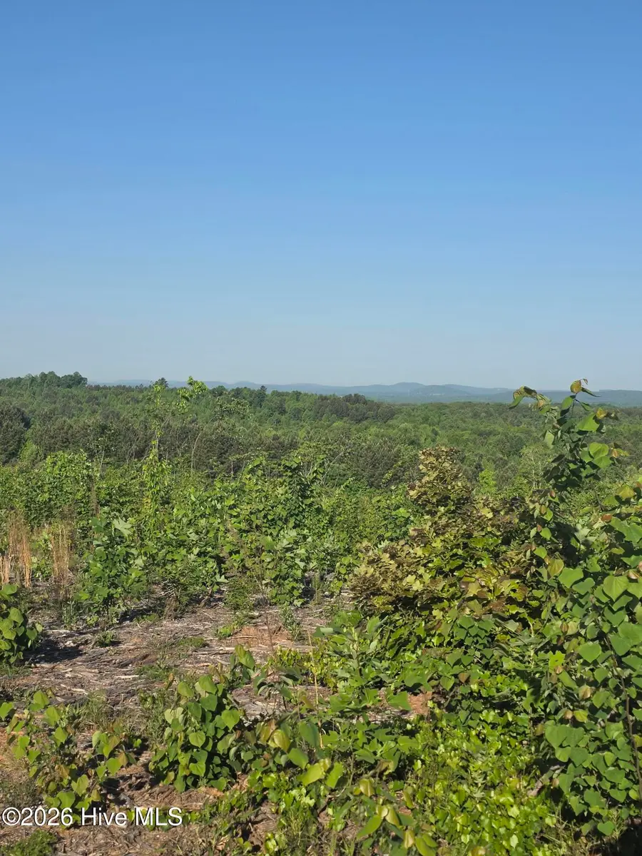 7740383679 Skeen View Road, Asheboro, NC 27205 - #3