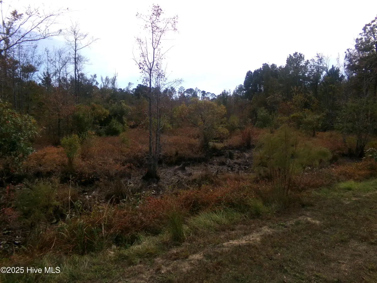 Lot  44964 Big Island Road, White Oak, NC 28399 - #1