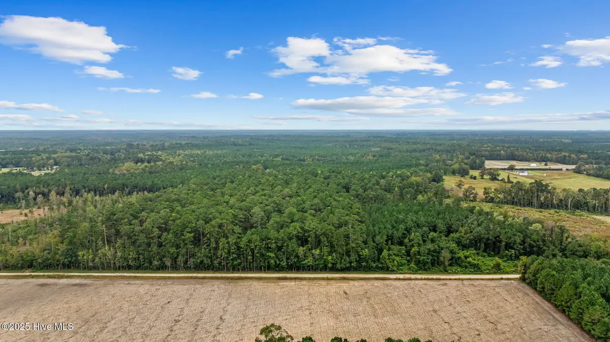 36ac Near 323 Indigo Flats Road W, Tabor City, NC 28463 - #1