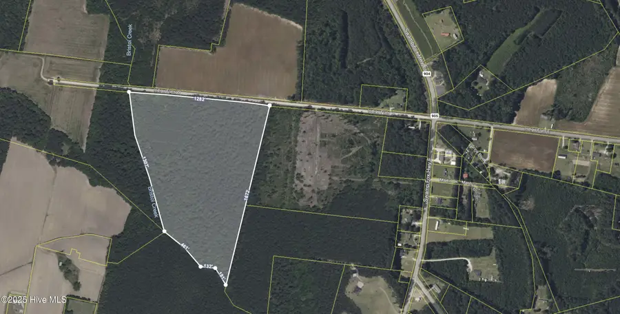 36ac Near 323 Indigo Flats Road W, Tabor City, NC 28463 - #2