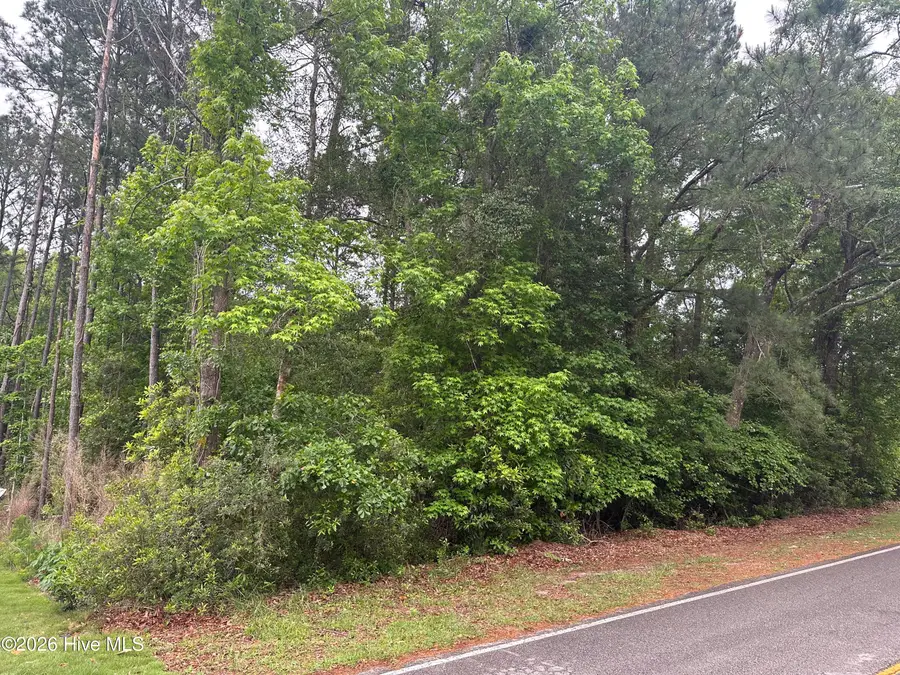 513 Center Drive, Hampstead, NC 28443 - #3