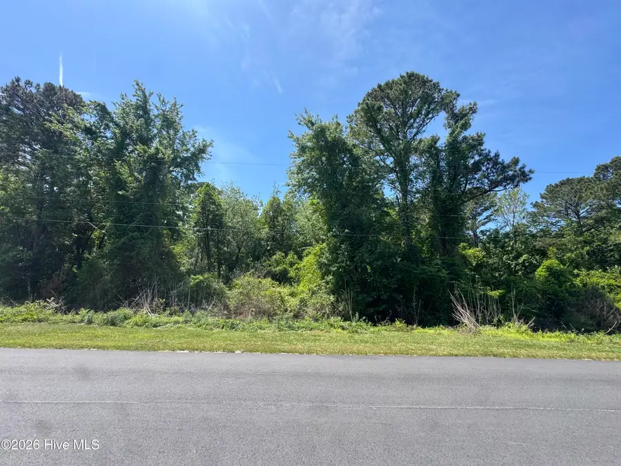 308 Borroughs Road, Holly Ridge, NC 28445 - #2