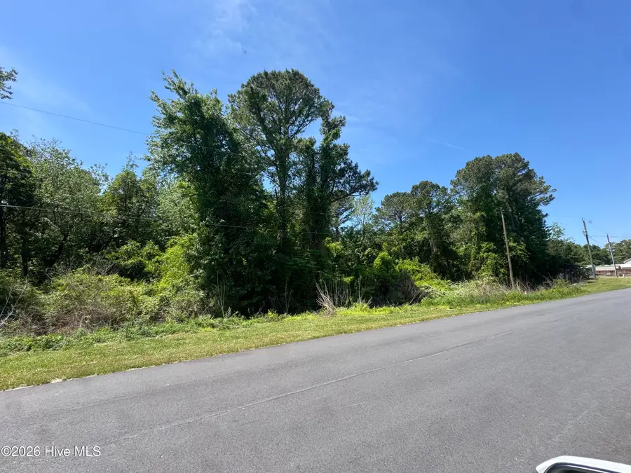 308 Borroughs Road, Holly Ridge, NC 28445 - #3