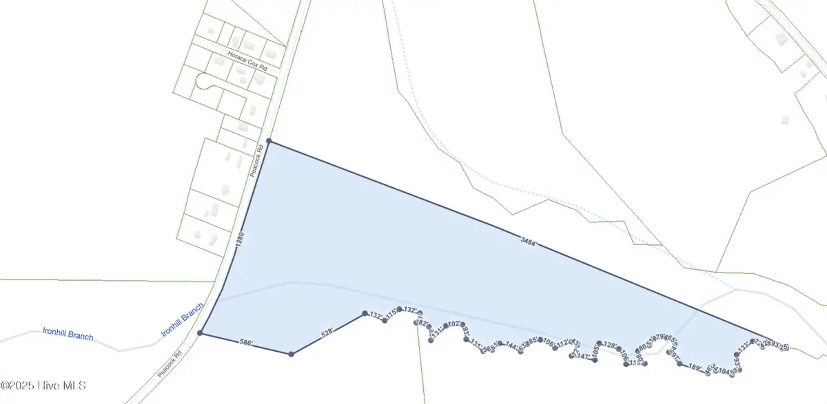 50ac Near 22984 Peacock R Road, Tabor City, NC 28463 - #1