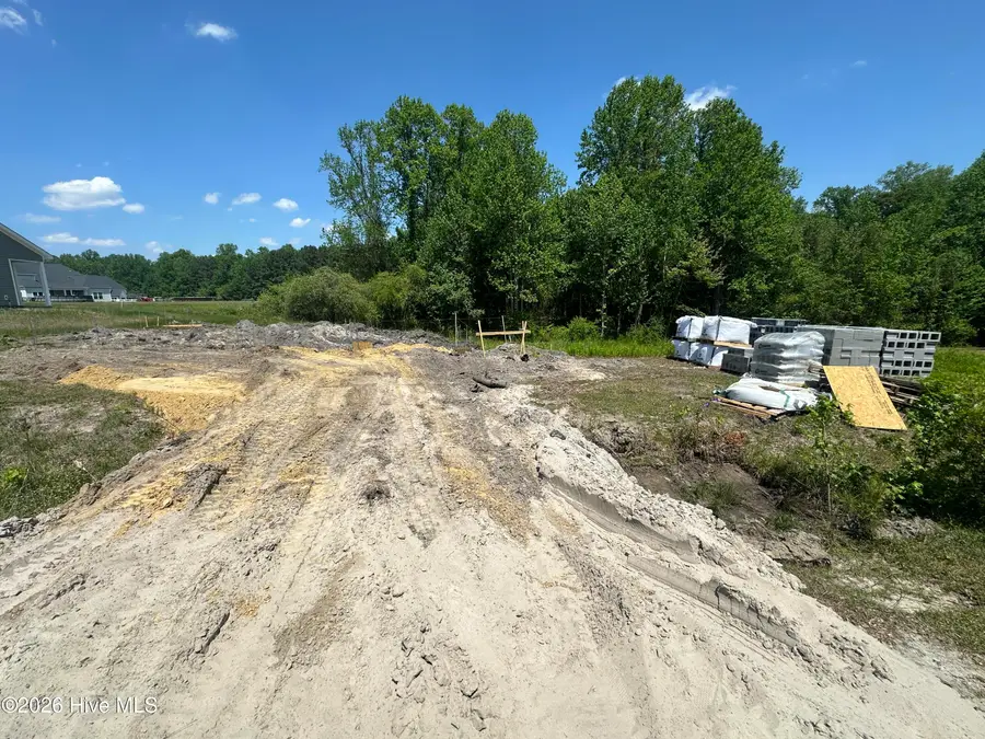 131 Dallas Drive, Beulaville, NC 28518 - #2