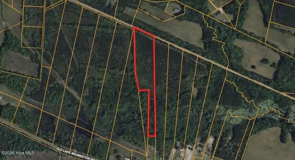 0 Near 11835 Old Lake, Riegelwood, NC 28456