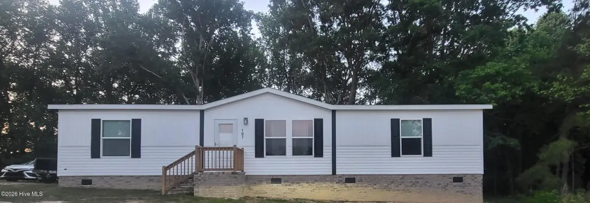107 Racoon Place, Pikeville, NC 27863 - #1