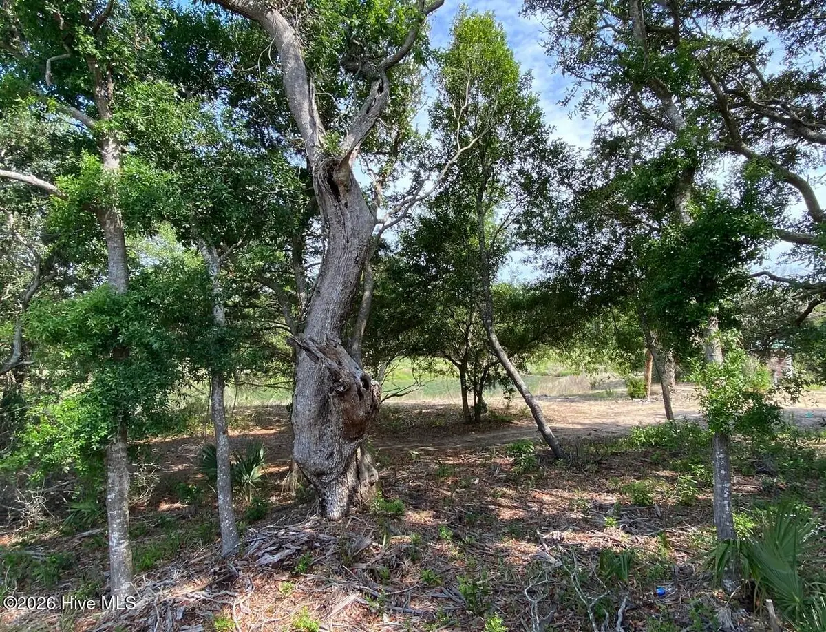17 Sandwich Tern Trail, Bald Head Island, NC 28461 - #1