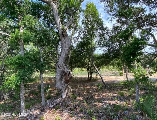 17 Sandwich Tern Trail, Bald Head Island, NC 28461