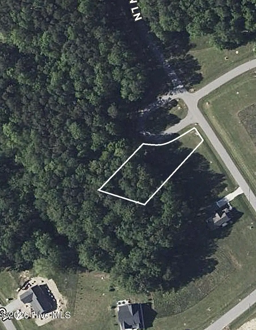 75 Golden Fern Lane, Minnesott Beach, NC 28510 - #1