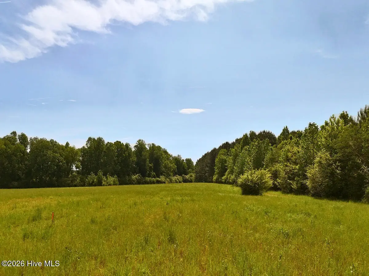 0 Old Chinquapin Road, Beulaville, NC 28518 - #1