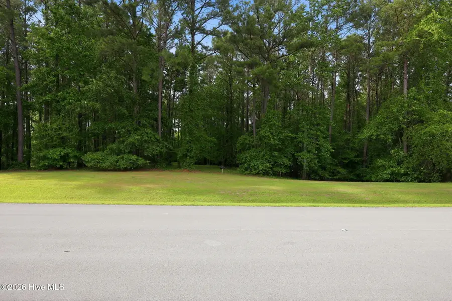 830 Mill Creek Lot 54 Drive, Minnesott Beach, NC 28510 - #3
