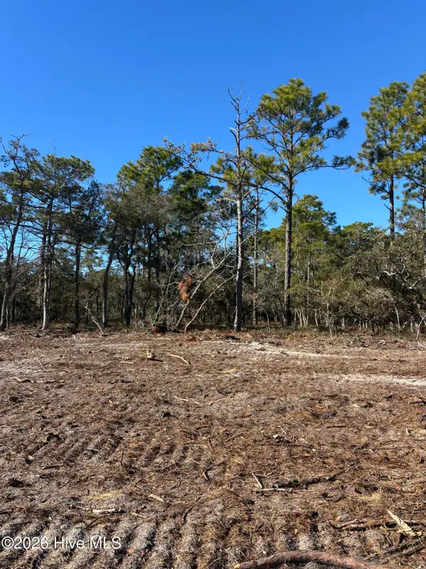 Lot 132 Coral Gull Street, Southport, NC 28461